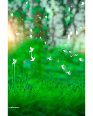 New 2022cb editing background