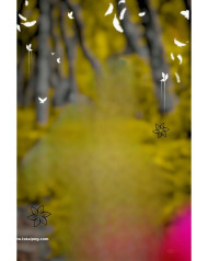 New cb background hd