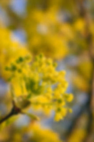 New Cb Backgrounds Download