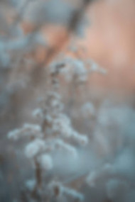 New Cb Backgrounds Download 2022