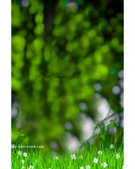 New Cb Bokrh Background Natural Hd Download