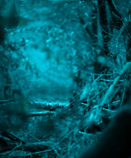 New Cb editing background download (1)