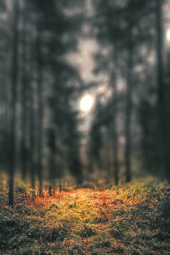 New Cb Editing background Download Hd