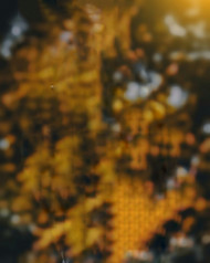 New editing background (1)