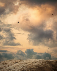 New editing background (3)