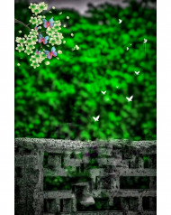 New hd cb background