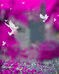 New hd cb background