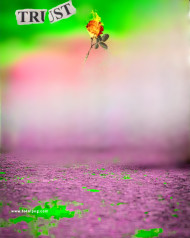 new hd cb background