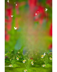 New hd cb background editing