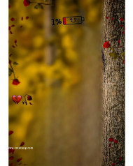 New hd cb backgrounds free