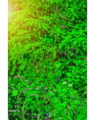 New hd cb editing background