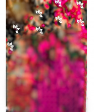 New hd cb editing background