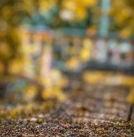 New Hd Cb Editing Background 2022