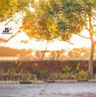 New Hd Cb Editing Background 2022