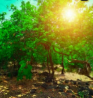 New Hd Cb Editing Background 2022