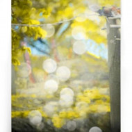 New Hd Cb Editing Background 2022