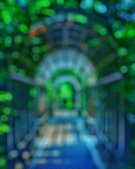 New Hd Cb Editing Background Download (2)