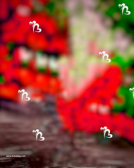 New hd cb editing background,Trending cb editing background