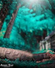 New Hd Editing Background Download