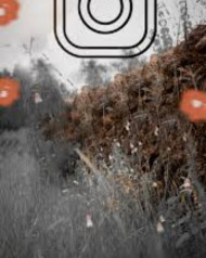 New Hd Editing Background For Picasrt And Photoshop