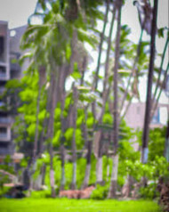 New Hd Editing Background For Picasrt And Photoshop