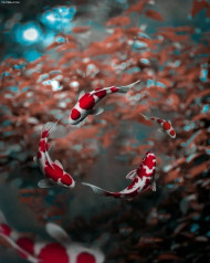 New Hd Editing Backgrounds Download