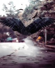 New Hd Editing Backgrounds Download