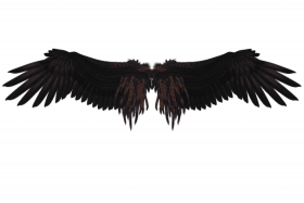 New picsart wing png dpownload