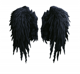 New picsart wing png dpownload