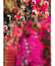 New png hd cb editing background photoshop