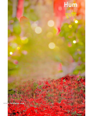 Nhi sudhremge cb backgrounds free