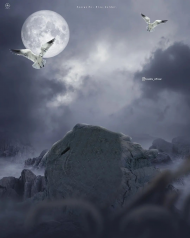 Night moon photo editing background