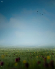 Night sky hd editing background