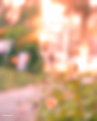 Nsb picturte editing background