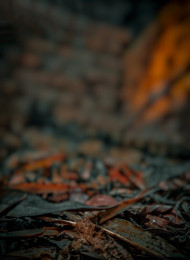 Old Cb editing background  (2)