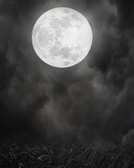 Only Moon Hd Backgrounds