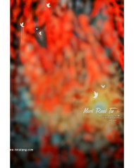 Orange cb background free download