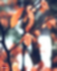 Orange editing background