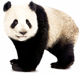 Panda movie png