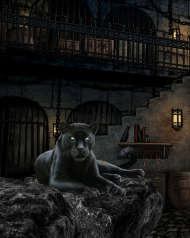 Panther editing background