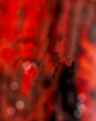 Papaya Gaikwad Cb Editing Background