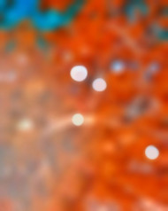 Papaya Gaikwad Cb Editing Background