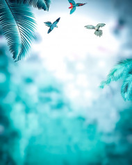 Parrot cb editing background