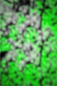 photo 1560756897311 012673226131306068351 1025x1536