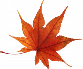Photoshop autumn leaves png hd,Autumn leaves png images