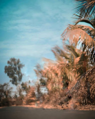 Photoshop editing background download (1)