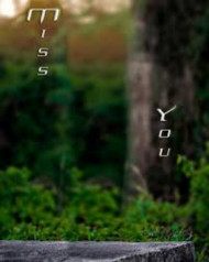 Photoshop Editing background download