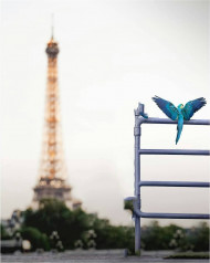 Photoshop editing background download (6)