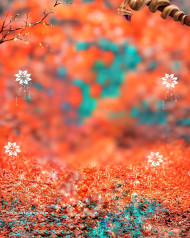 Photoshop full hd cb editing background