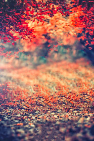 Photoshop Hd Cb editing Background Download